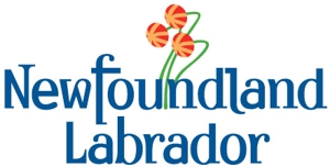 partnersintro_2_3921105198